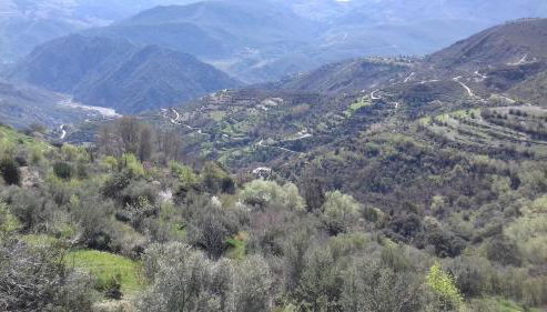 Dreams Alpujarra - Foto 5, Garden view