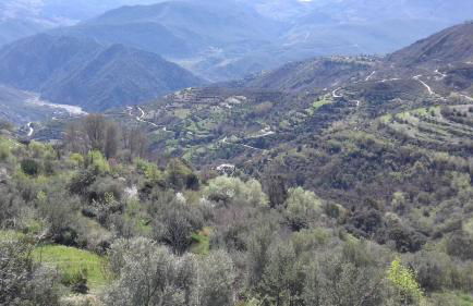 Dreams Alpujarra - Foto 5