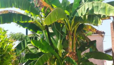 Wilma House - Photo 4