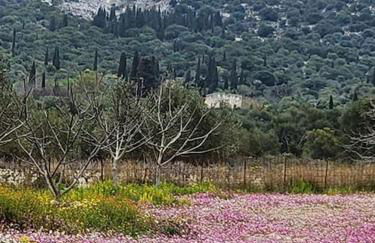 Agrampeli Villa - Photo 11