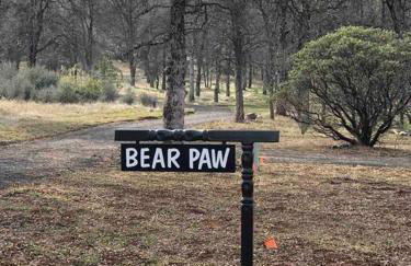 Bear Paw Cabin new construction near Yosemite - Foto 26