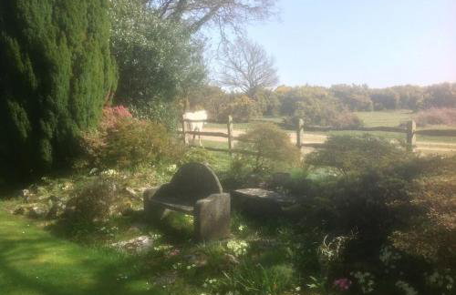 Holmans NEW FOREST - Photo 41