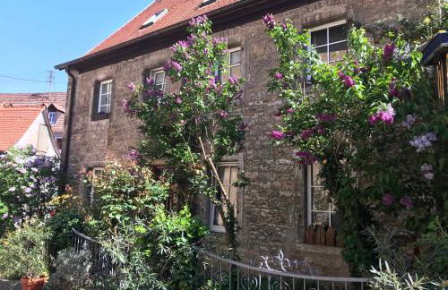 Ferienwohnung am Weinberg - Foto 11