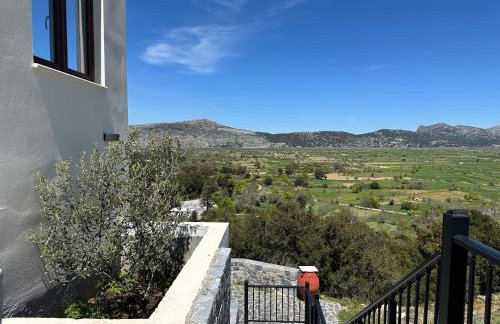 Dictamus Homes - Foto 10