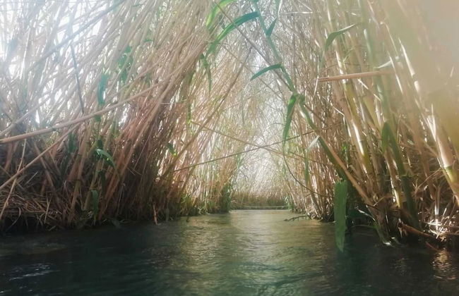 Home by Mel G Manciano - Foto 40