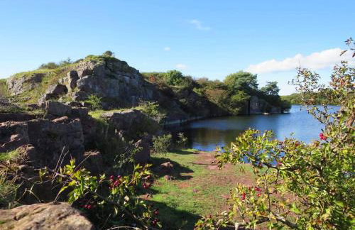 Herdwicks - Foto 134