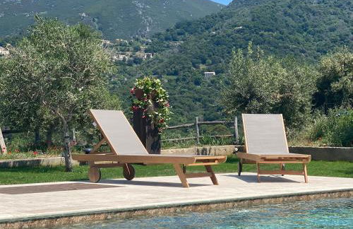 APICULTEUR - Foto 13