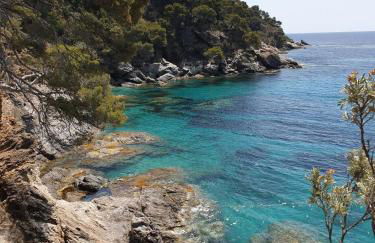 Villa l'Arbanaise vue mer piscine presqu'Ile Giens BY HC - Foto 30