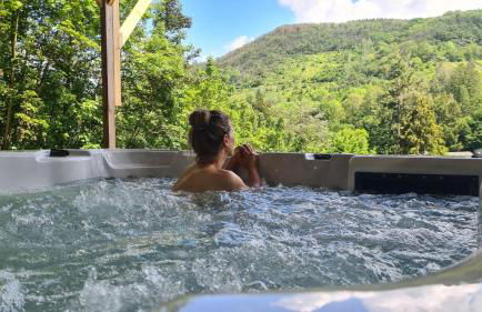 Waldhaus zum gechillten Hirsch in der Natur, bei der Moseltherme Traben-Trarbach - Foto 22