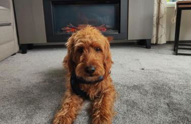 JJs Lodge Oaktree - Foto 16