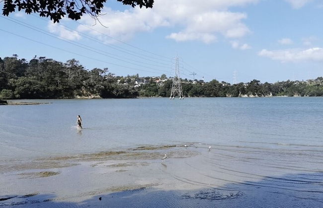 Brand New 5BR home with view of the sea - Photo 58