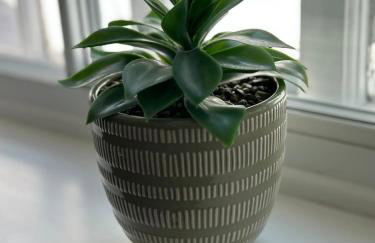 Cosy two bedroom cottage - Foto 11