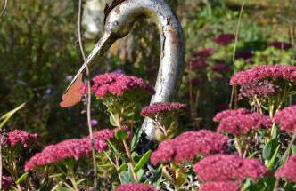 Ferienhaus Eifel - Photo 33