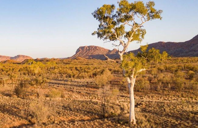 Sierra de MacDonnell Occidental - Excursión de día completo - Foto 1