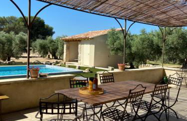 Le petit cabanon en Provence - Foto 22