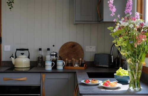 The Acorn - Luxury Shepherds Hut hot tub panoramic views - Foto 43