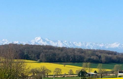 Maison au charme champêtre - Monlaur-Bernet - Photo 72