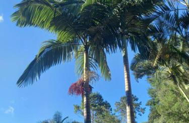 Linda chácara em Ibiuna com lago e piscina - Foto 23