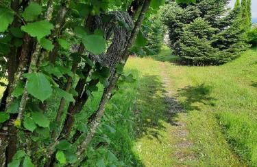 Ferienhaus Meister Eder - Foto 10