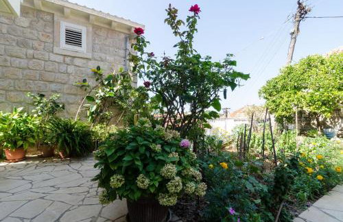 Apartments Bozica - Foto 40