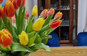 Apartamenty U Pana Jana - Foto 34