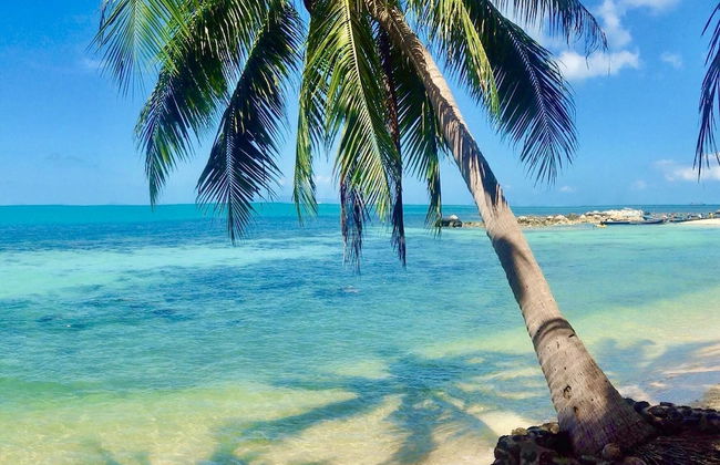 Sibaja Palms Sunset Beach Luxury Villa - Foto 37