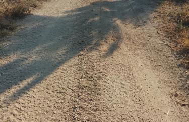 Alojamento 444 - Foto 29