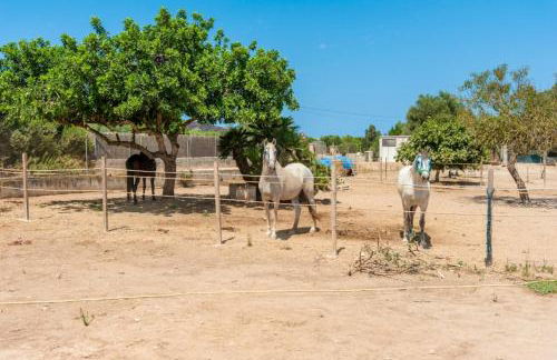 Casa Angela - Villa With Private Pool In Capdepera - Photo 108
