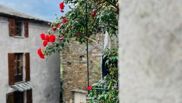 Très jolie maison aux portes du Cap Corse - Foto 2