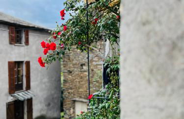 Très jolie maison aux portes du Cap Corse - Foto 2