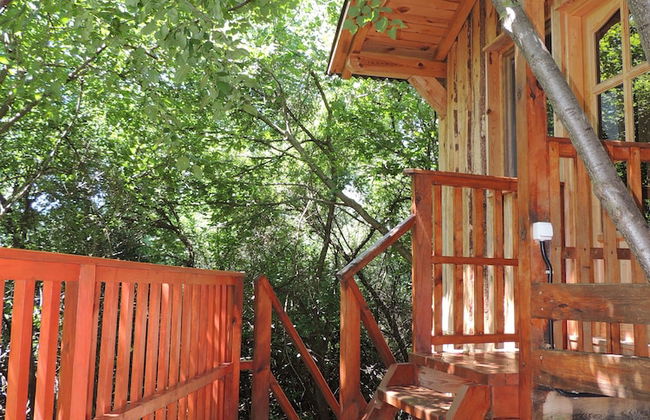 Kerca Bio Farm - Photo 31