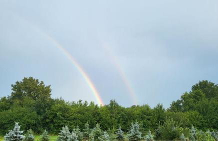 DRiM Wood House - no party house - Foto 31