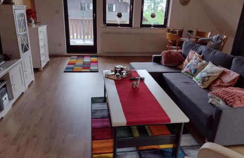 Olifant in Osterode - Foto 16