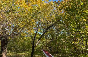 Ublik Stacja - Foto 48