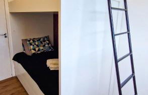 Bigorrilho • 2Q • Self Check-in • Pet • Barigui - Foto 10