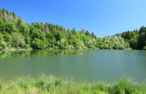 Au Coeur de Prémanon - Foto 38