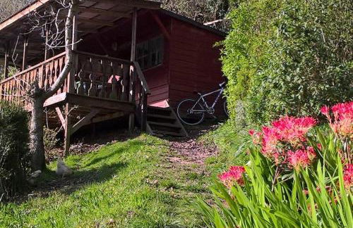 Surfers and walkers cosy camping cabin - Foto 2