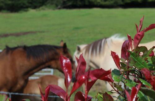 South Barlogan Farm - Photo 76