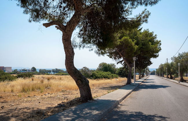 Lungo Mare - Photo 18