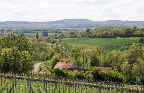 Biobauer Heubach - Foto 19