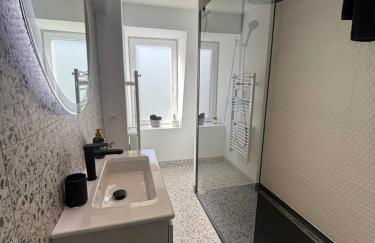 Le toit des Vosges demeure Historique Appartement neuf et climatisé - Foto 8