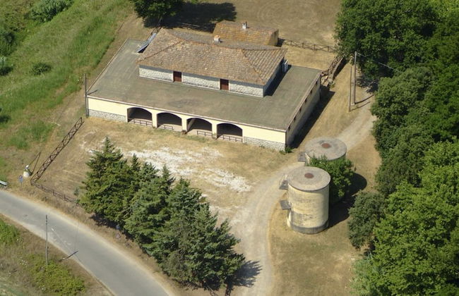 Agriturismo La Petrosa - Foto 13