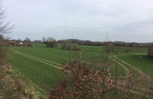 Ferienwohnung Mangelsen - Foto 17