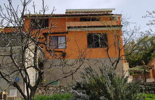 Diana Apartman - Photo 48