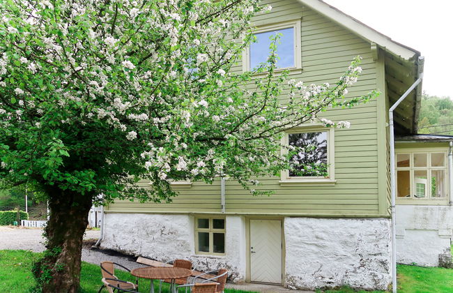 Greenhouse - Photo 7