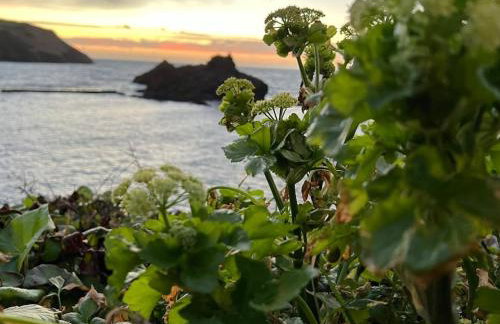 Secluded Escape near Salcombe - Newhouse Barn. - Foto 61