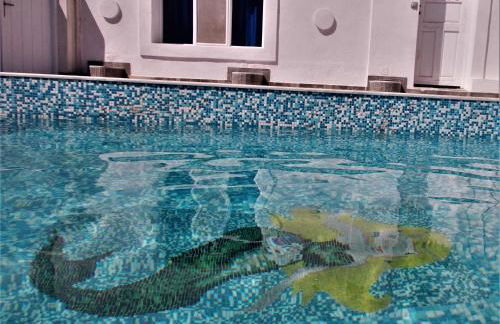 Loukas Kontos Traditional House - Foto 5