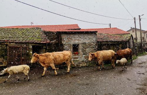 Casa do Faqueiro de Casas Brioso - Foto 25