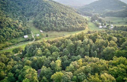 Among The Trees - Foto 7