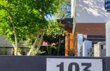 Apartamenty na Maciejową - Foto 1